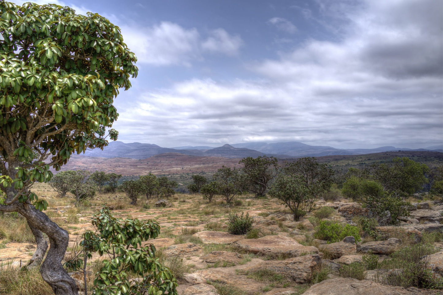  Three Rondavels View Point