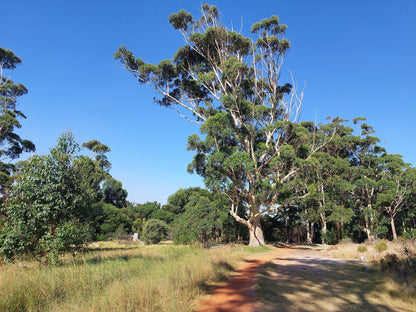  Tokai Park