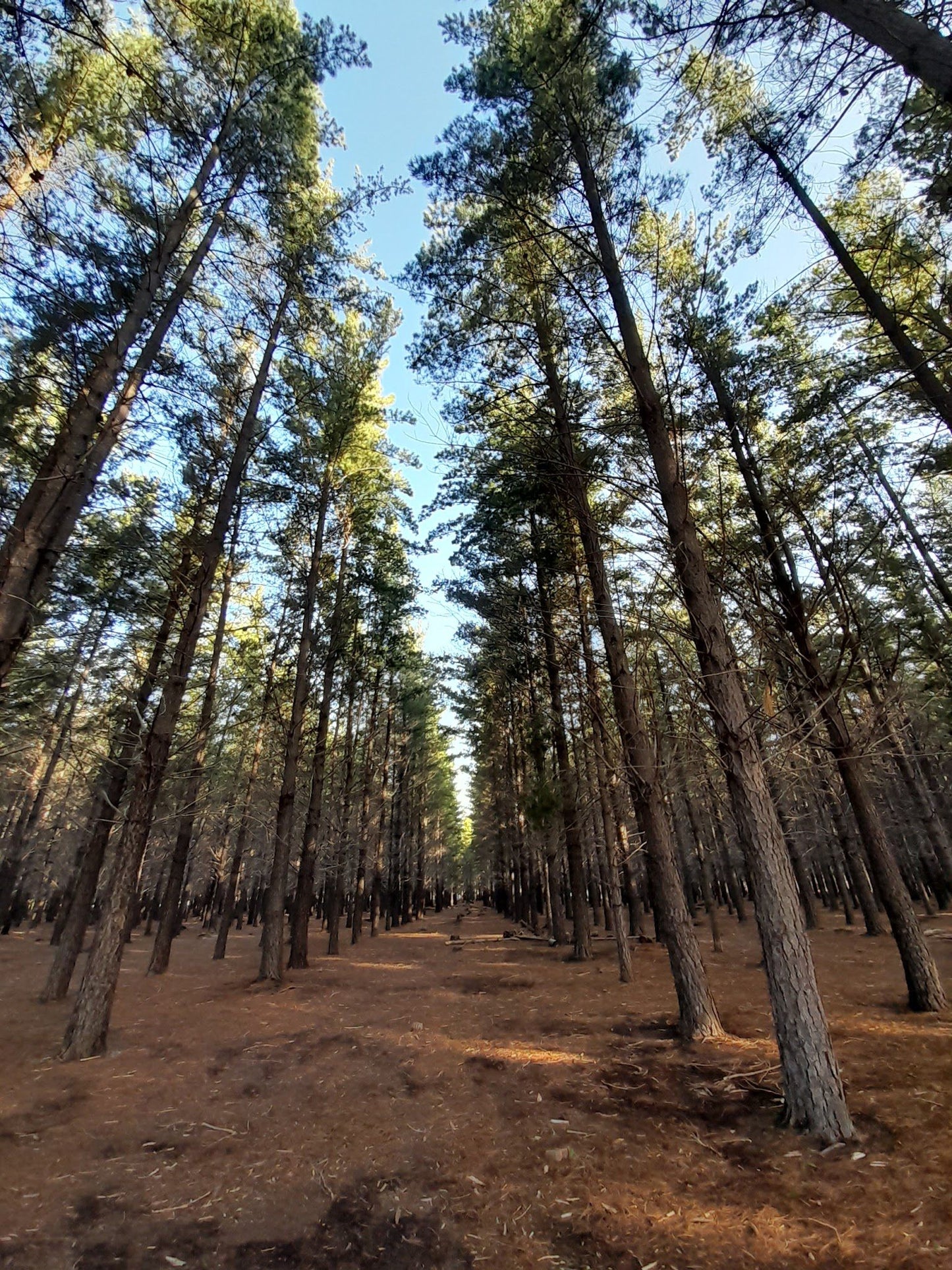  Tokai Park