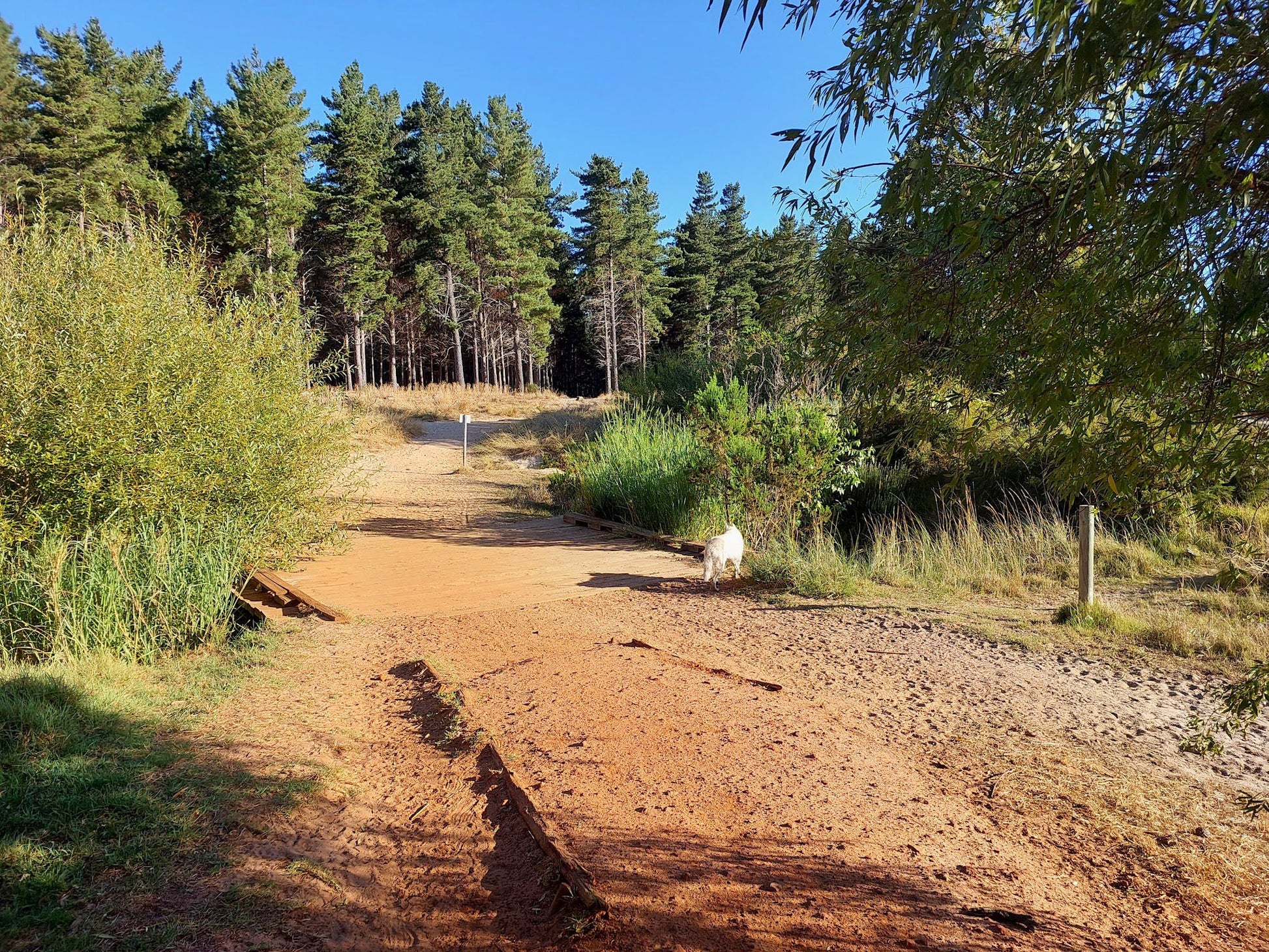  Tokai Park