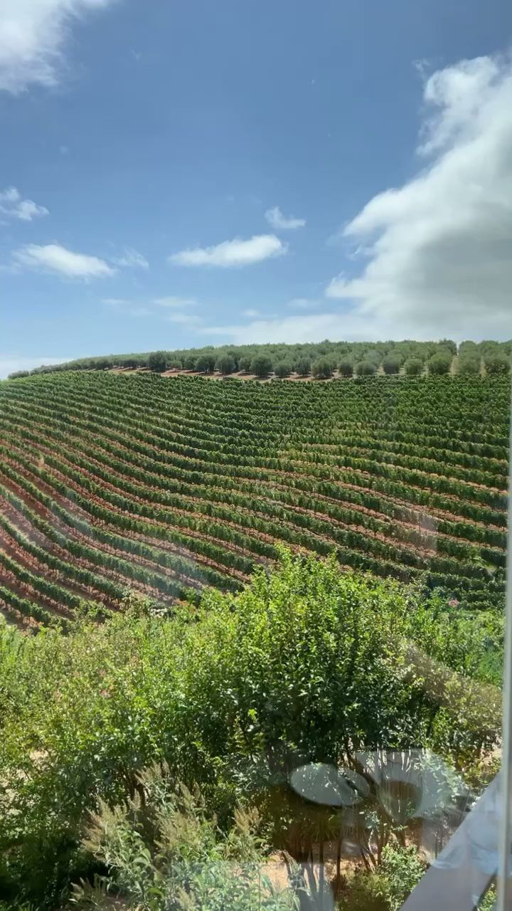  Tokara Wine Estate