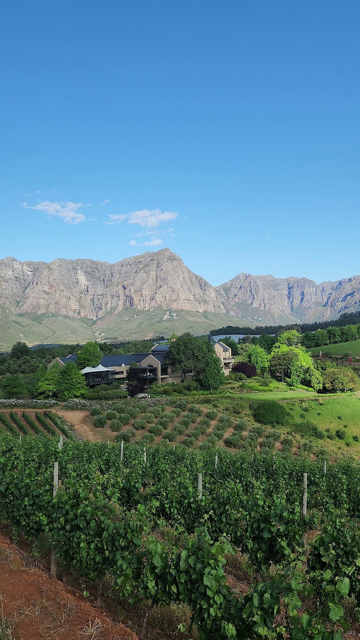  Tokara Wine Estate