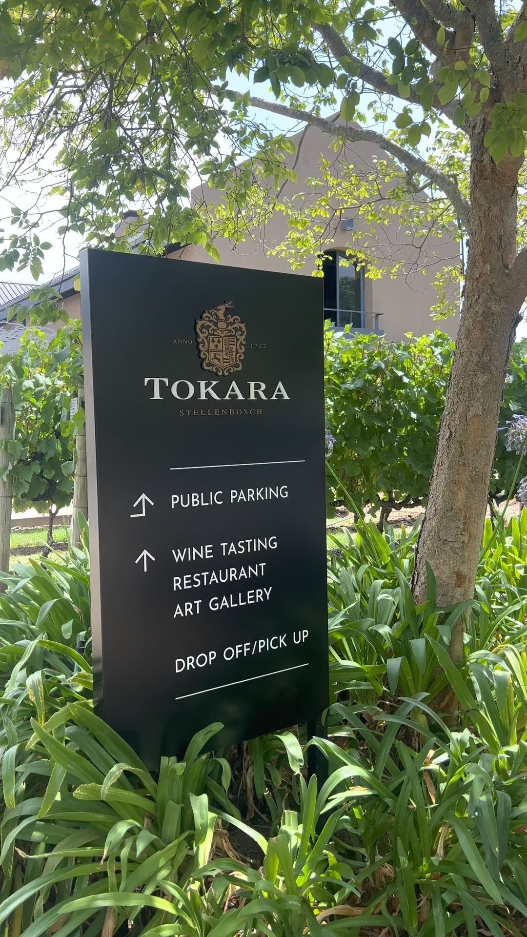  Tokara Wine Estate