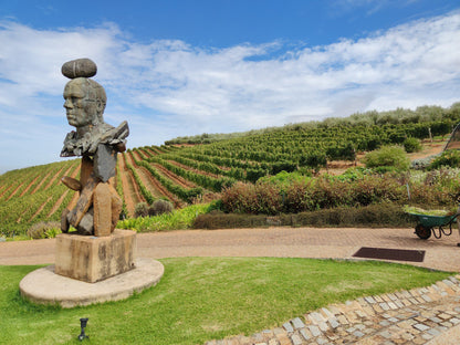  Tokara Wine Estate