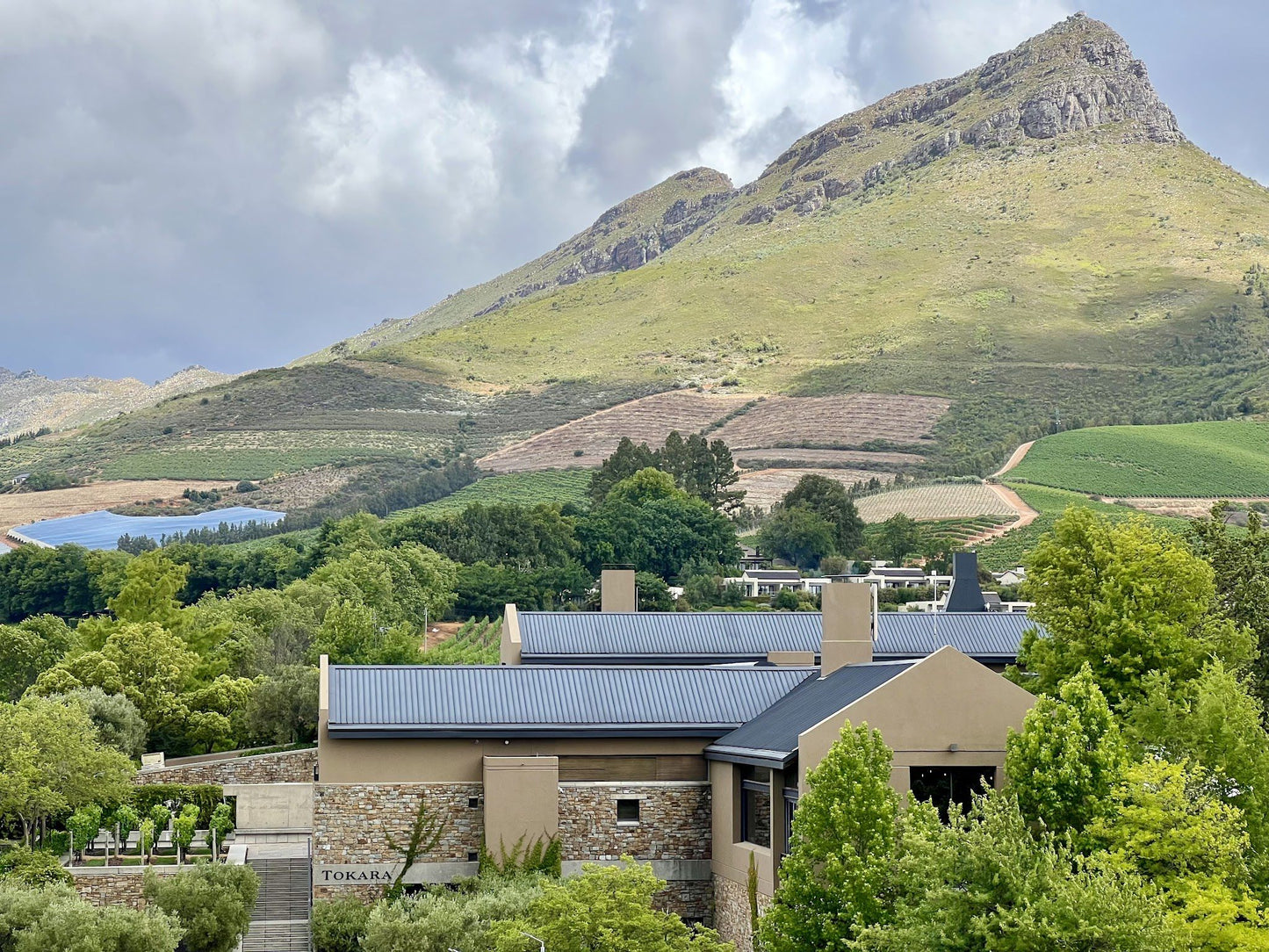  Tokara Wine Estate