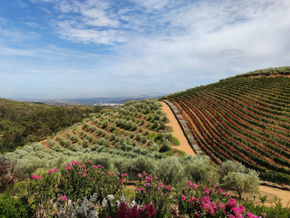  Tokara Wine Estate