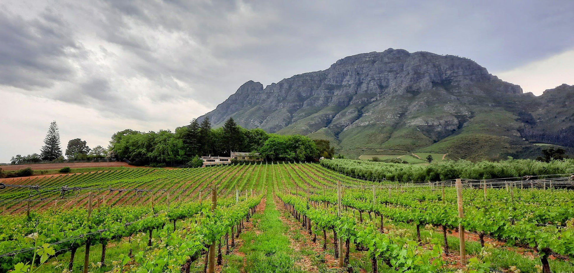  Tokara Wine Estate