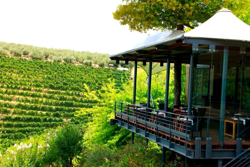  Tokara Wine Estate