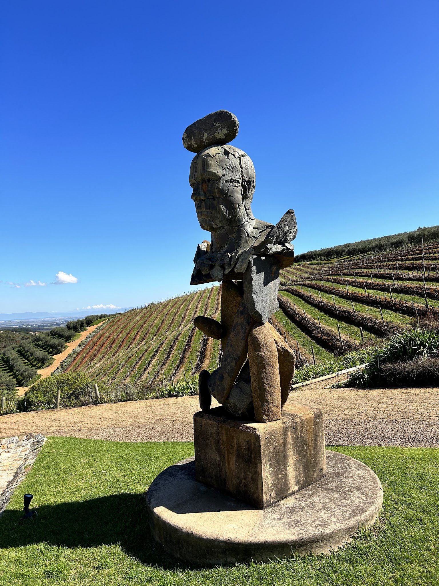  Tokara Wine Estate