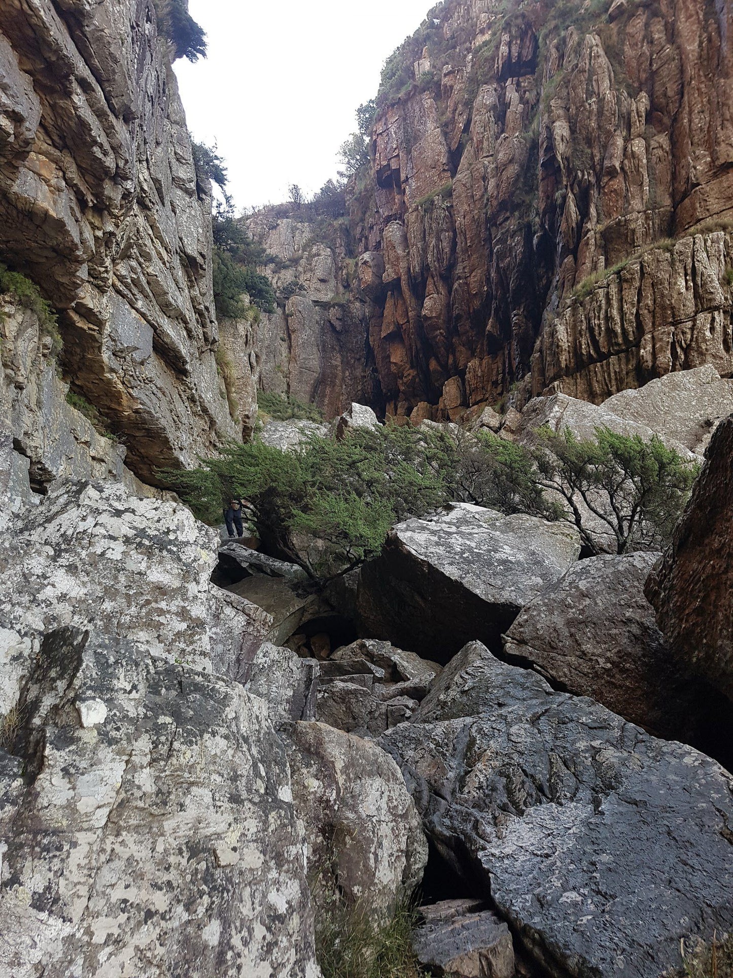 Top of Platteklip Gorge