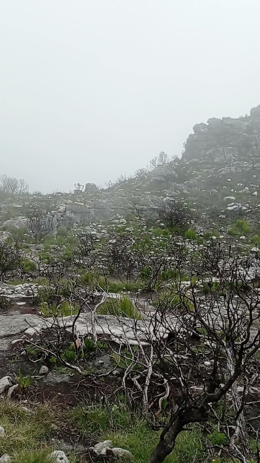 Top of Platteklip Gorge