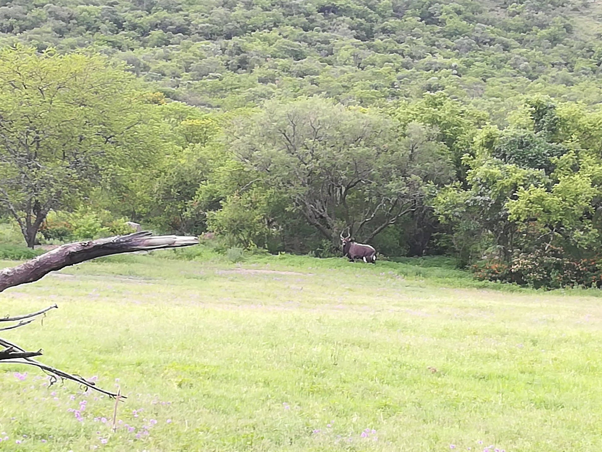  Trenchgula Game Farm & Guest Lodge