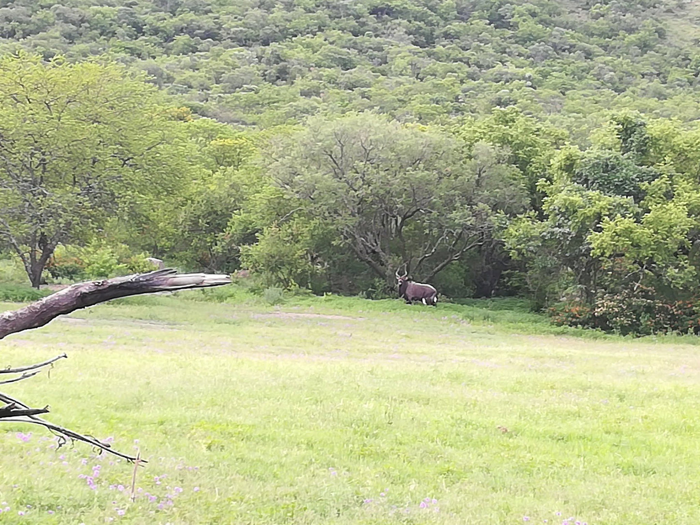  Trenchgula Game Farm & Guest Lodge