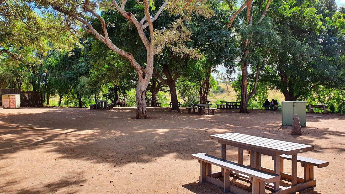  Tshokwane Trading Post & Picnic Site