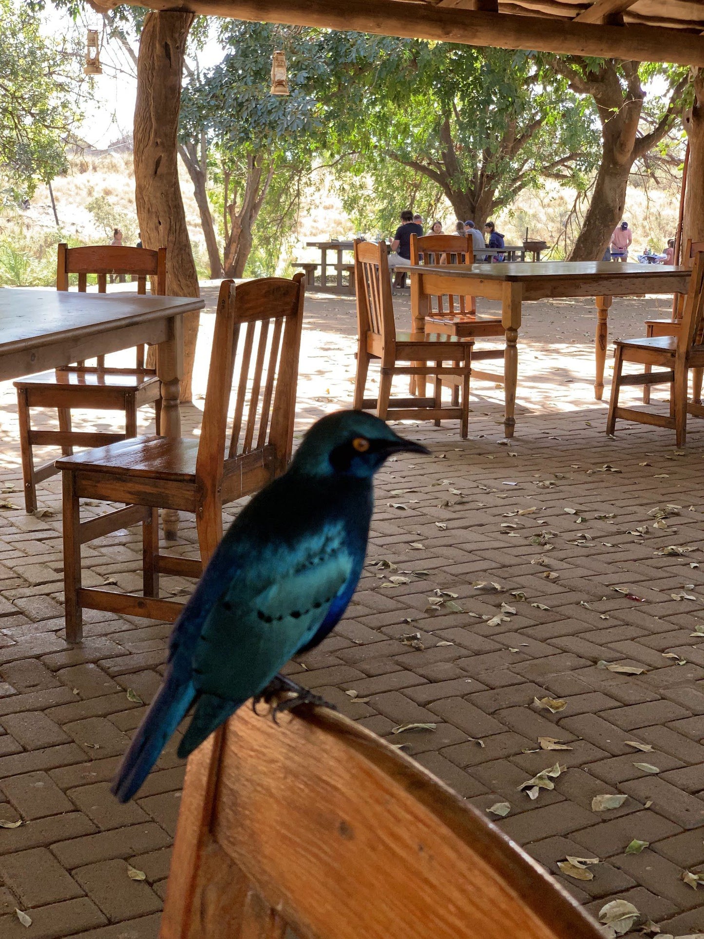  Tshokwane Trading Post & Picnic Site