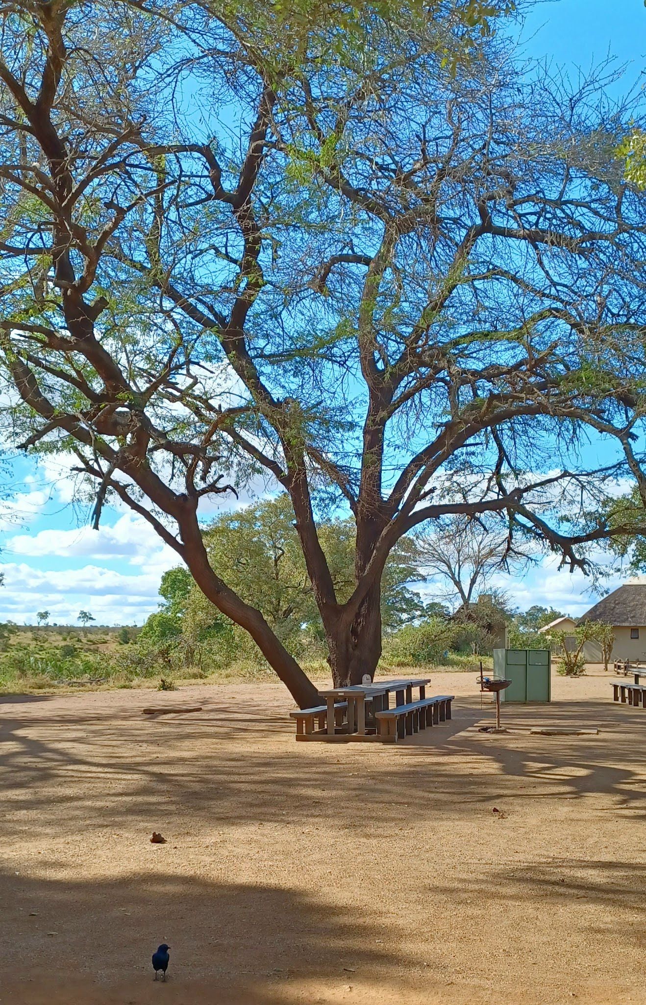  Tshokwane Trading Post & Picnic Site