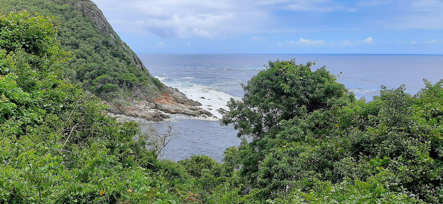 Tsitsikamma Mountain Trail