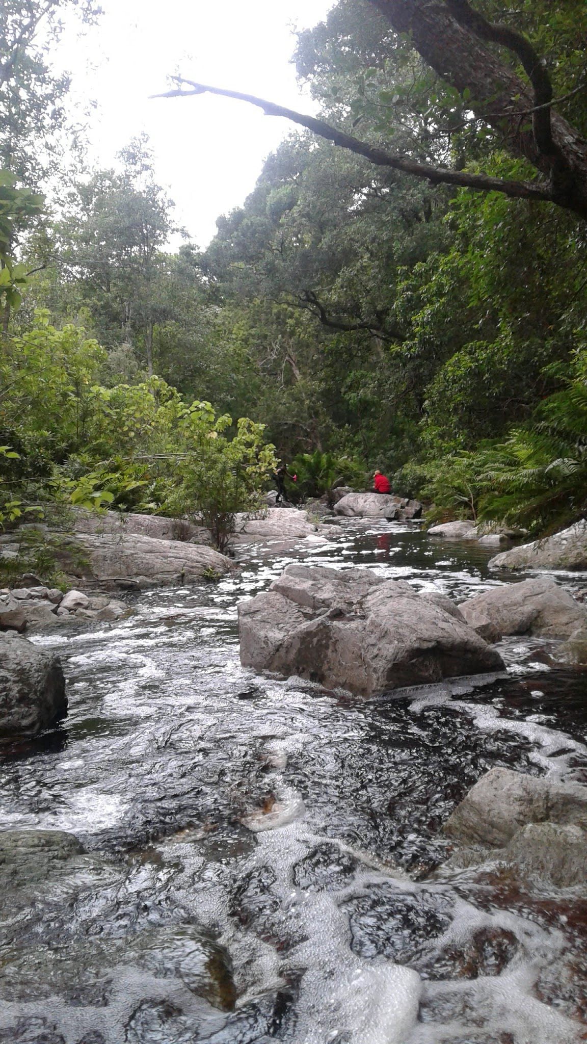 Tsitsikamma Mountains