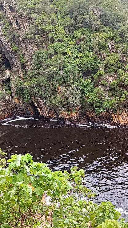  Tsitsikamma National Park