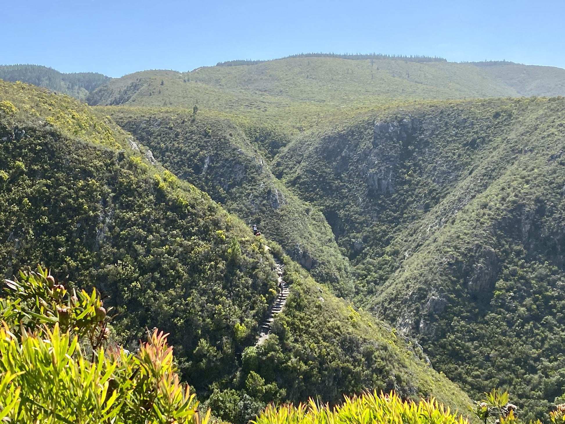  Tsitsikamma National Park