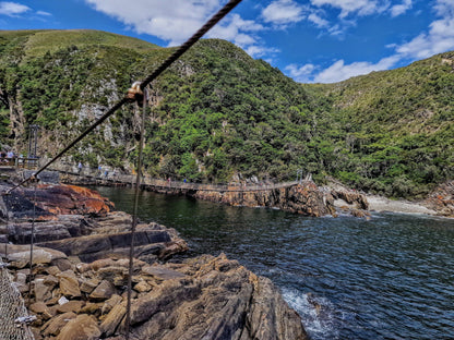  Tsitsikamma National Park