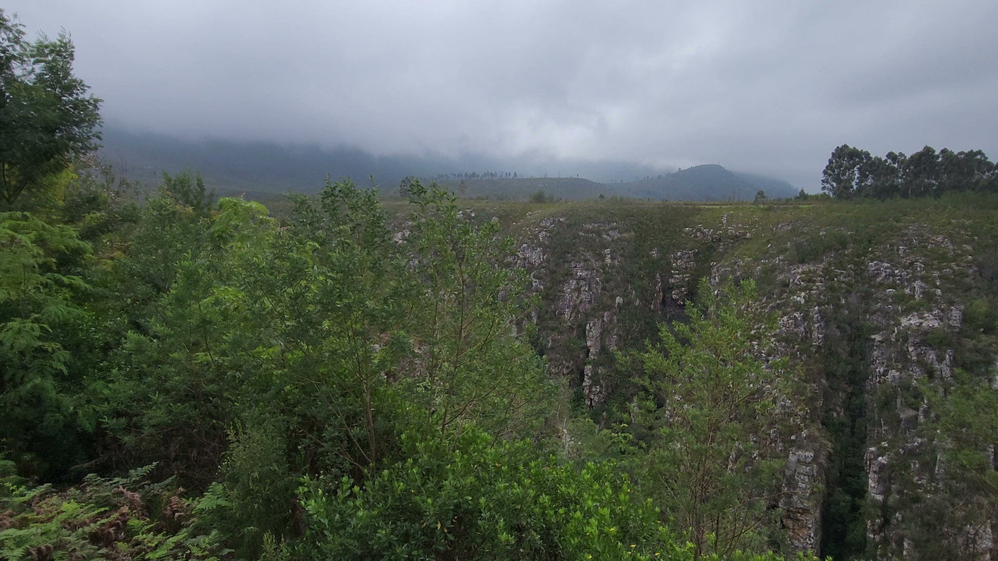  Tsitsikamma National Park