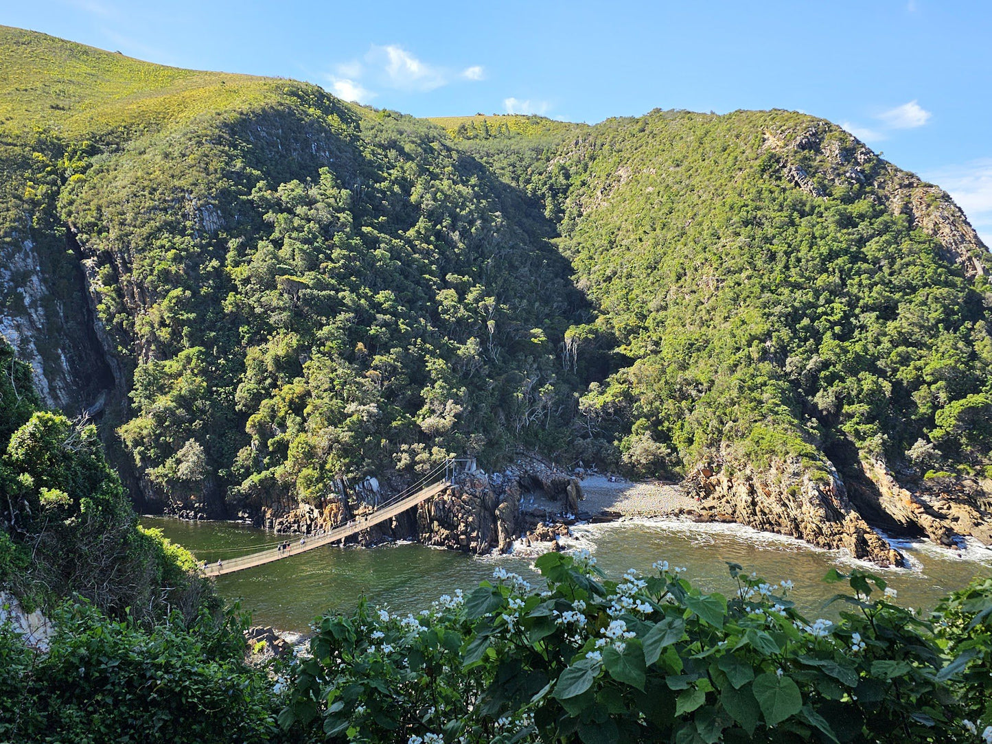  Tsitsikamma National Park