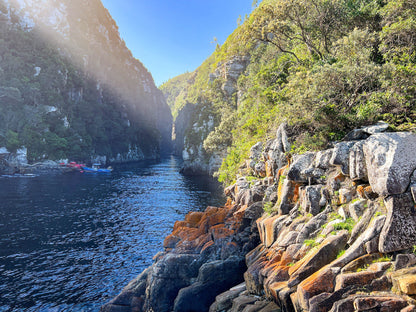  Tsitsikamma National Park