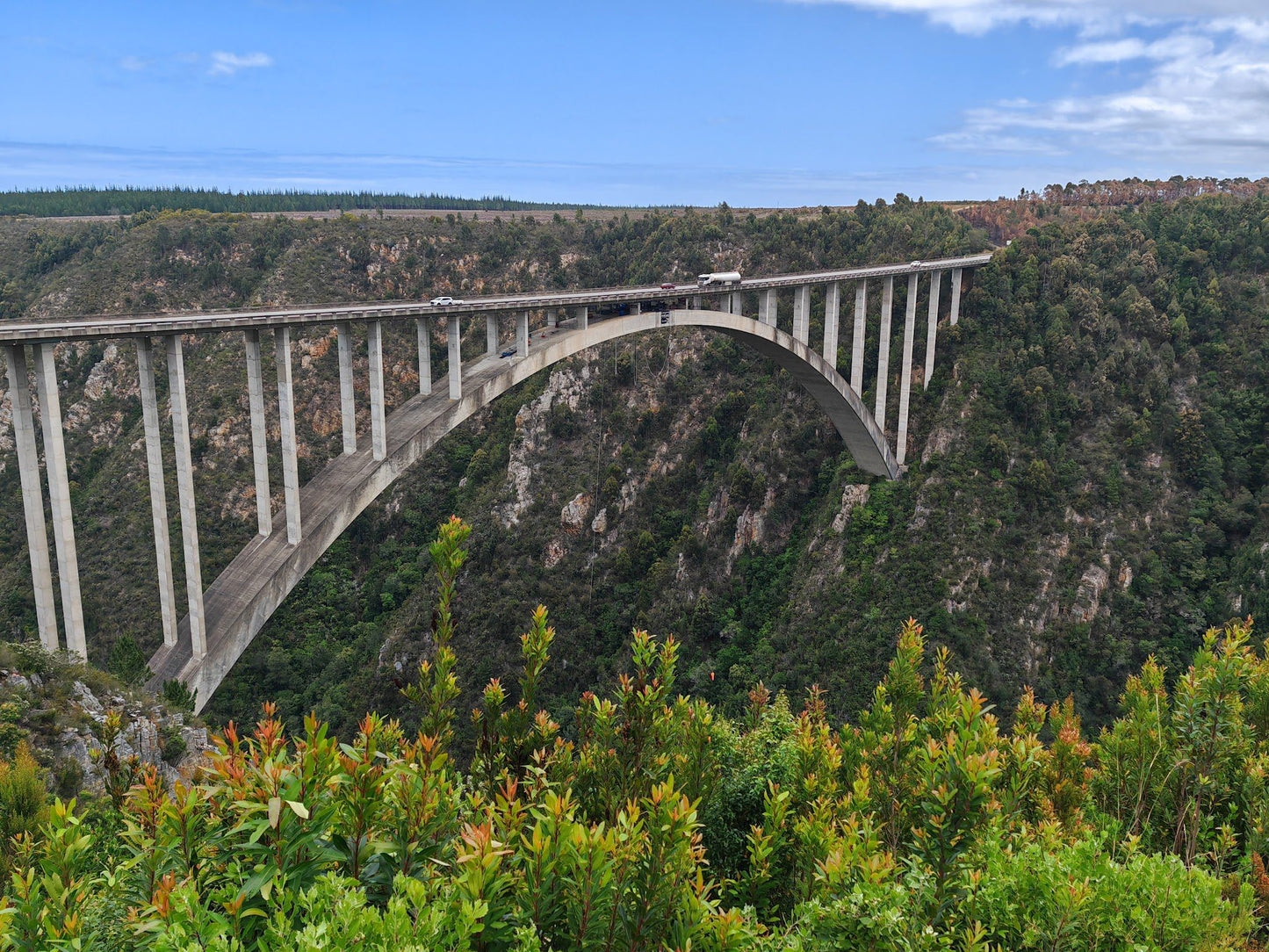  Tsitsikamma National Park