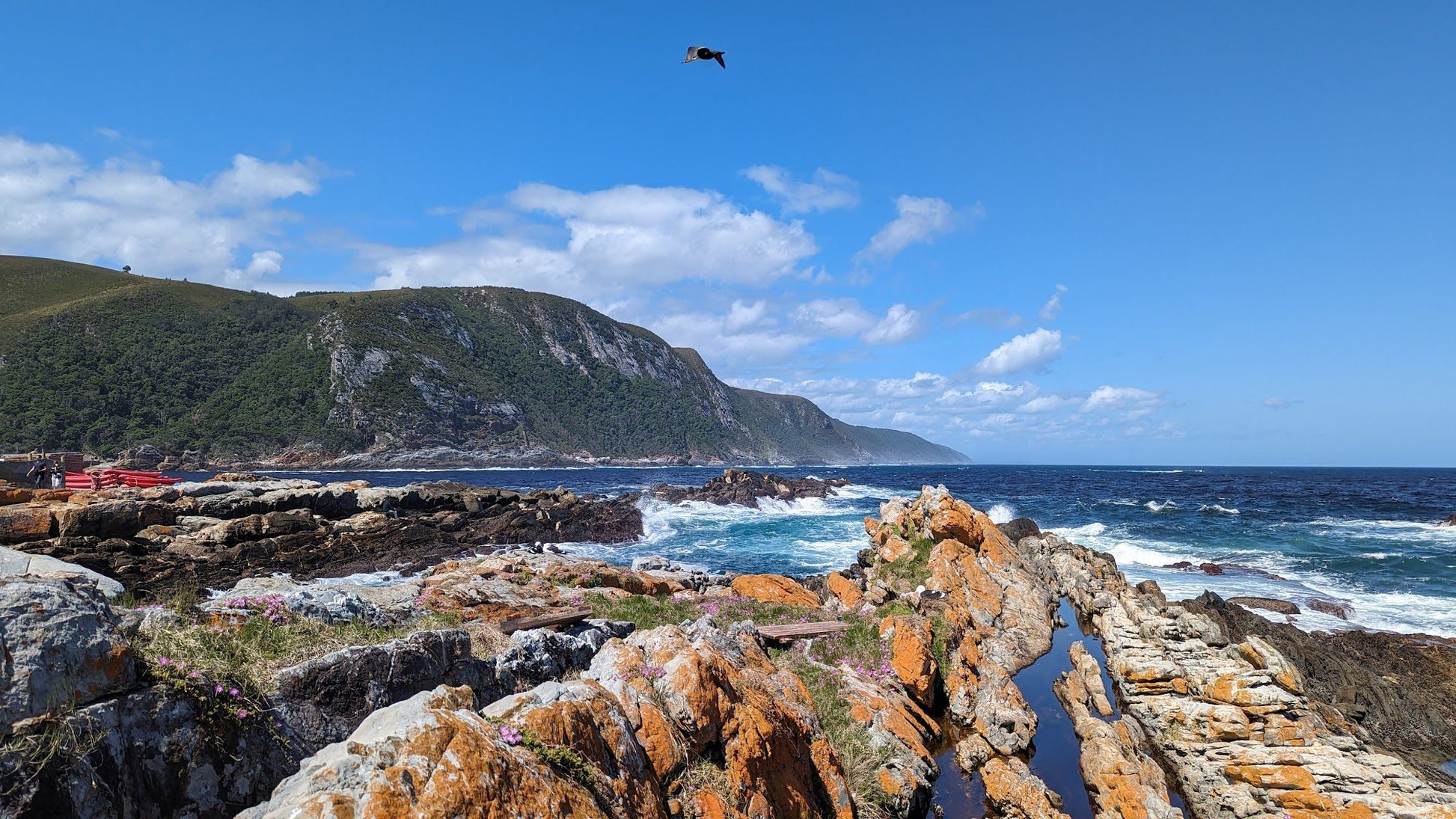  Tsitsikamma National Park