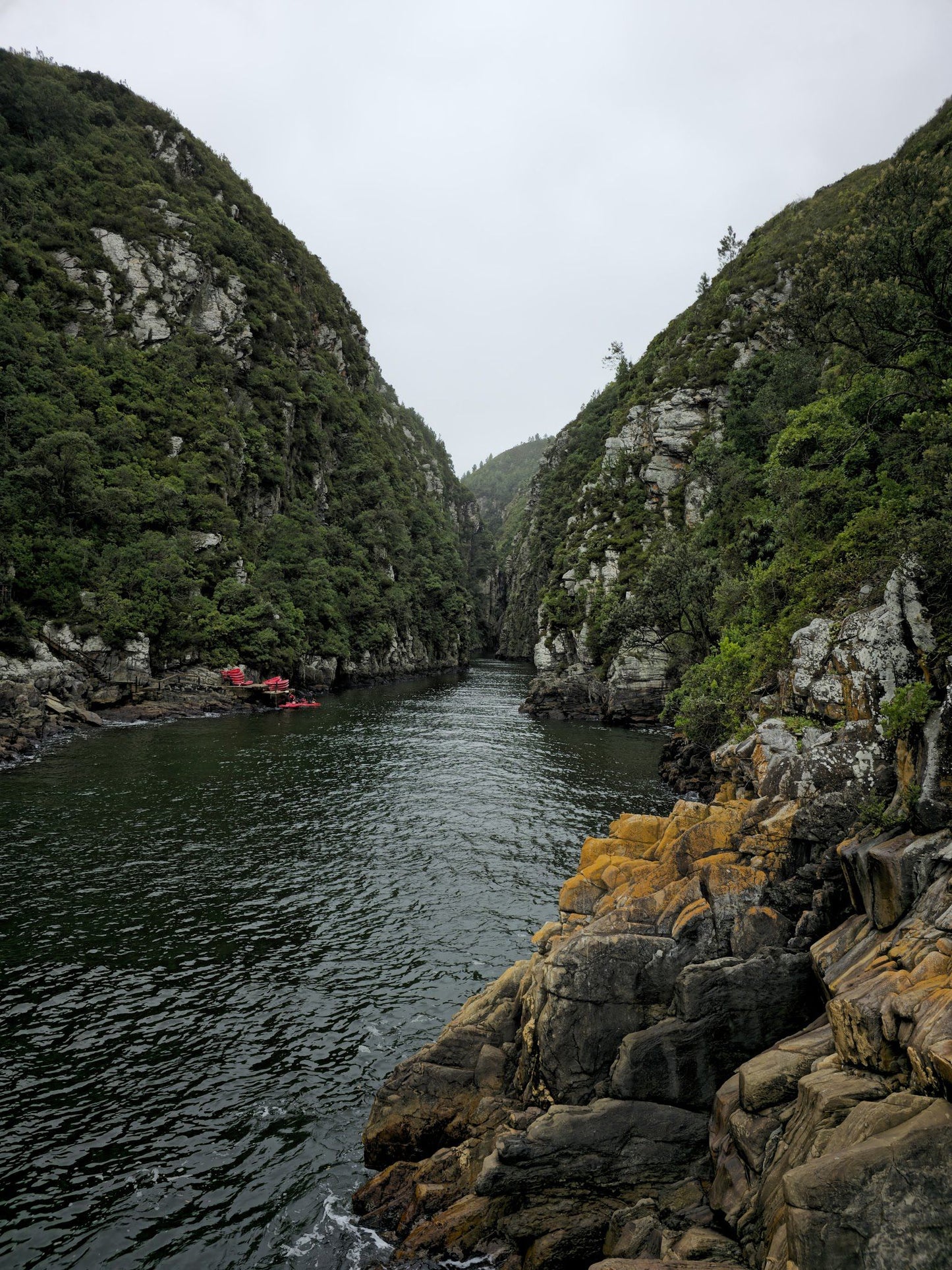  Tsitsikamma National Park