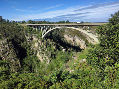  Tsitsikamma National Park