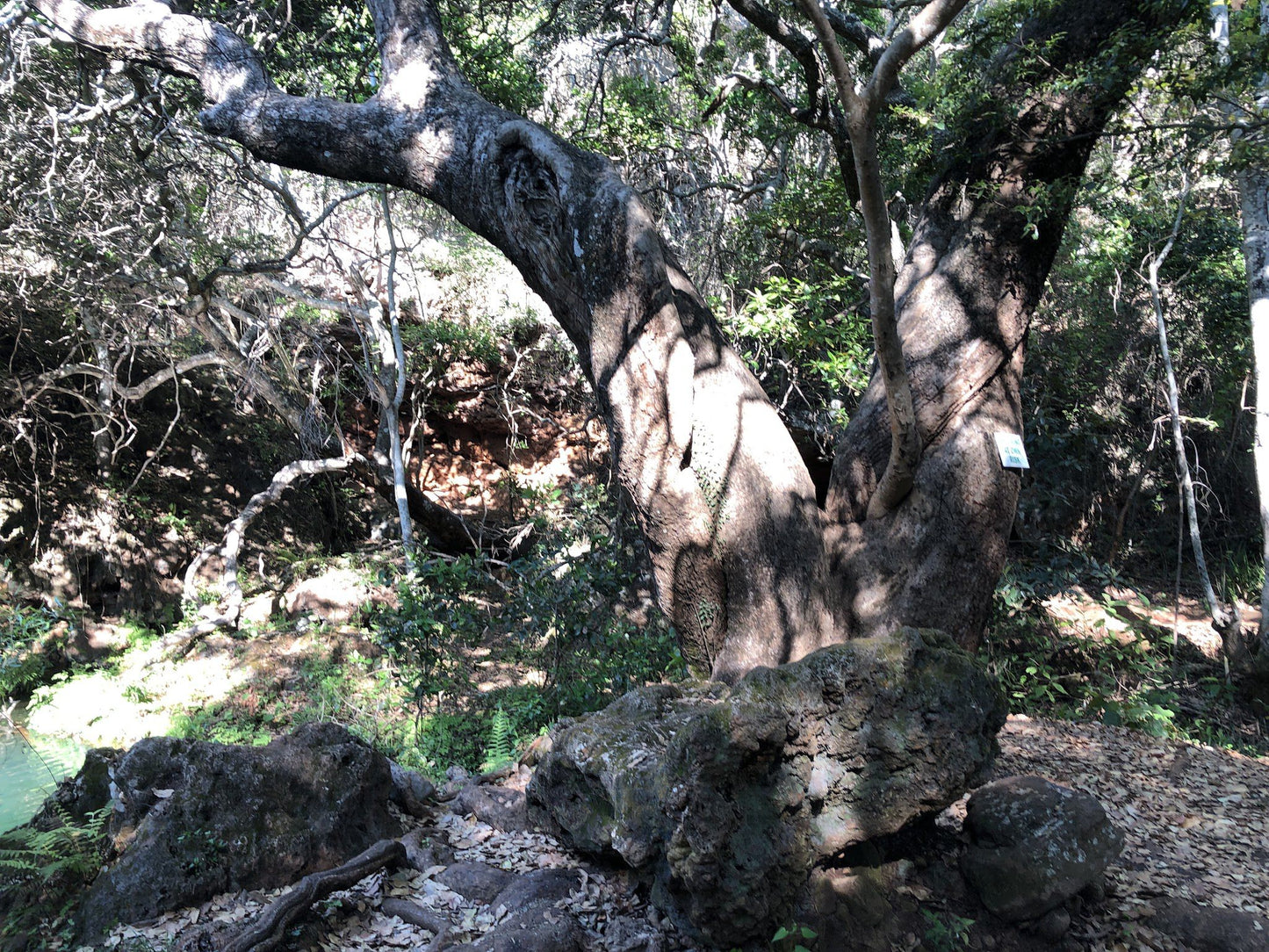 Tufa Waterfall