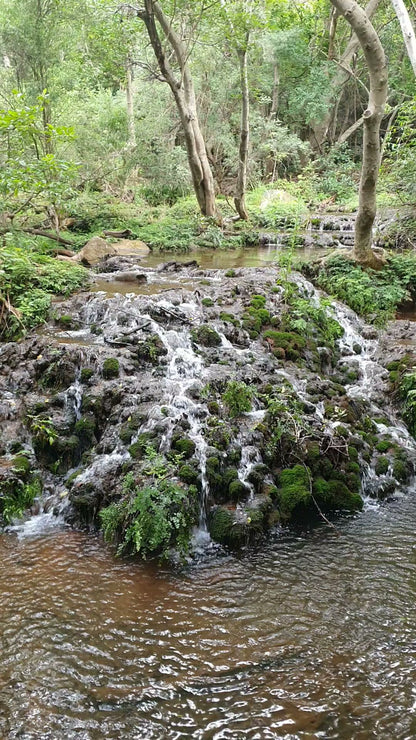 Tufa Waterfall