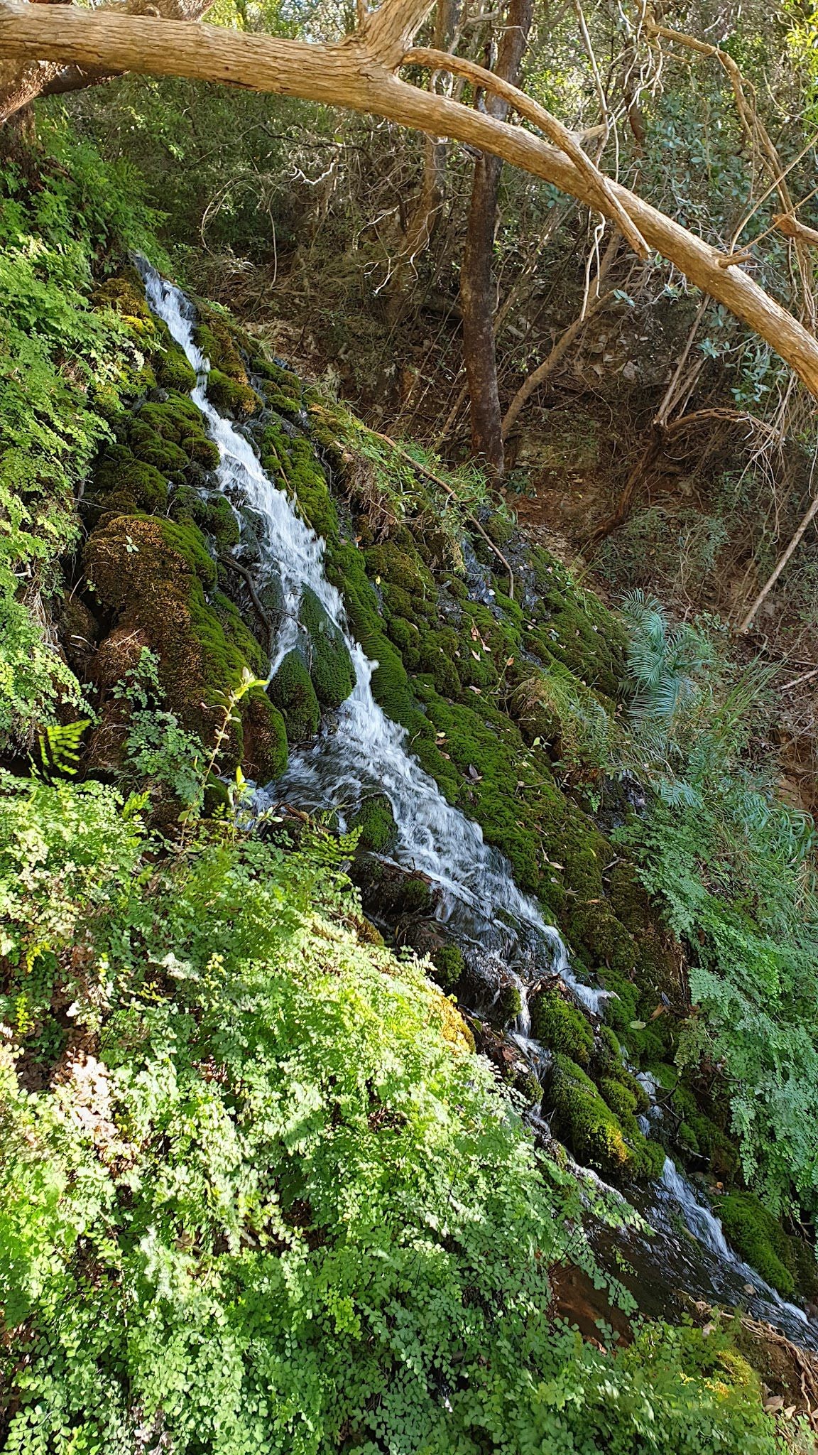 Tufa Waterfall