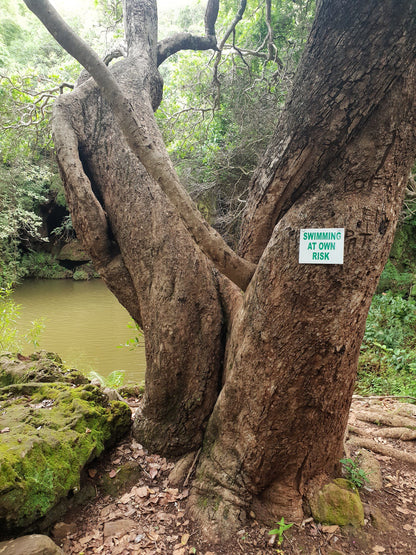 Tufa Waterfall