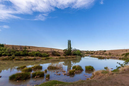 Tugela Rapids Bergville Kwazulu Natal South Africa River, Nature, Waters, Lowland