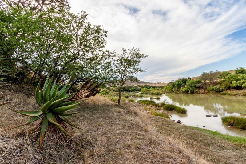 Tugela Rapids Bergville Kwazulu Natal South Africa Plant, Nature, River, Waters