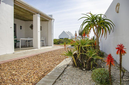 Tumble In Self Catering Cottage Dwarskersbos Western Cape South Africa House, Building, Architecture, Palm Tree, Plant, Nature, Wood, Garden