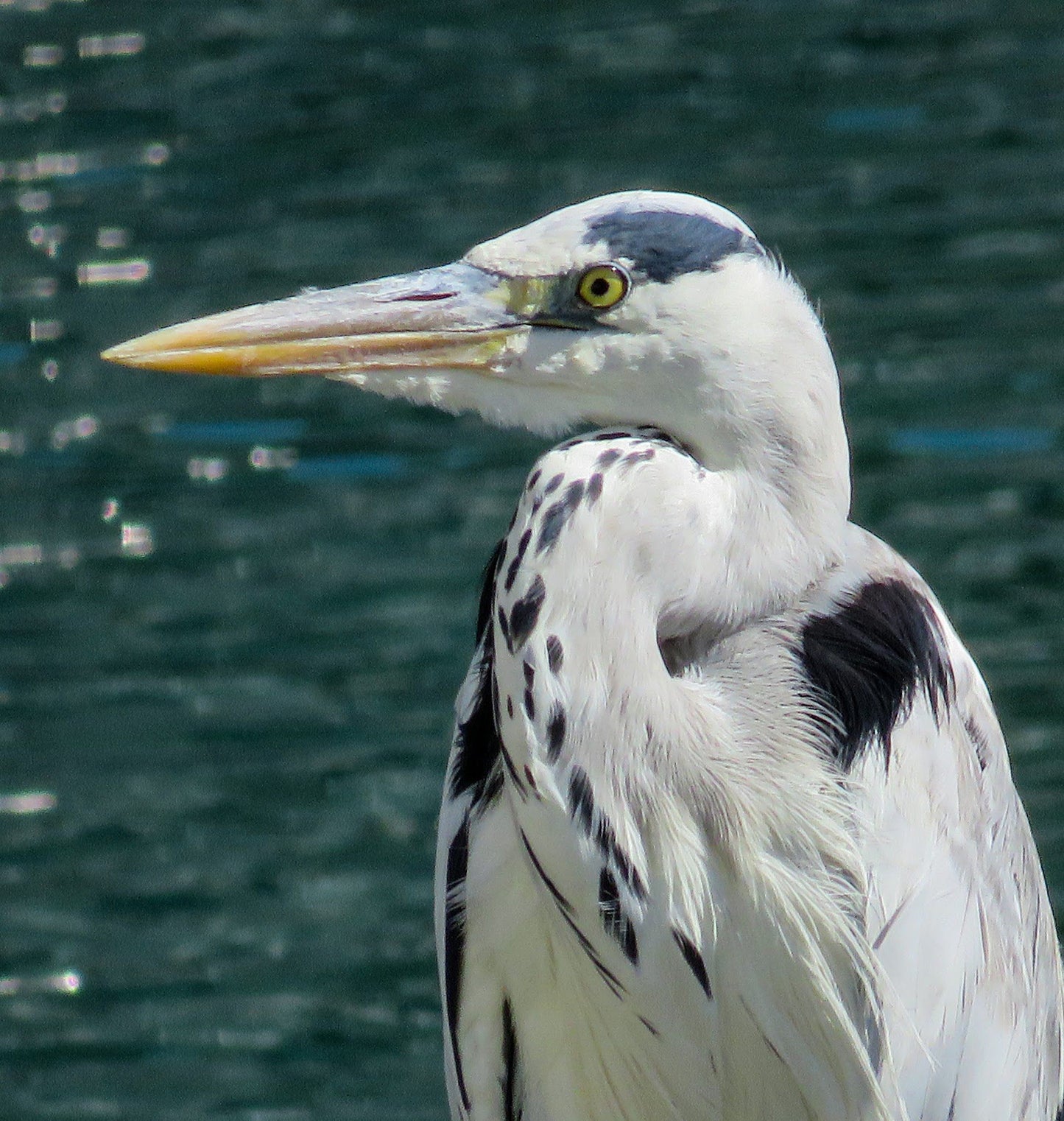 Two Harbours Walk