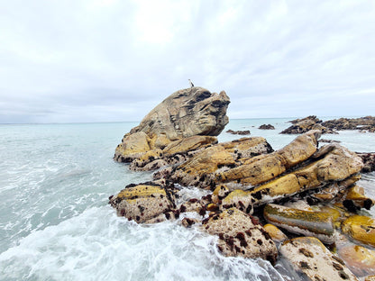 Two Harbours Walk