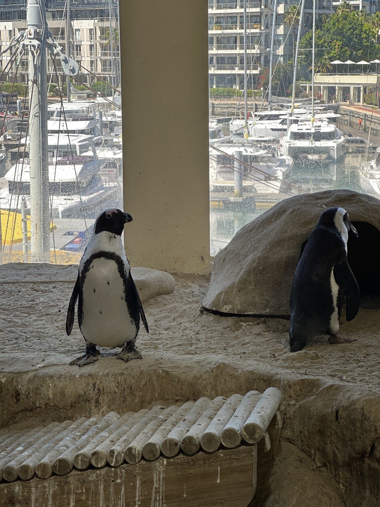  Two Oceans Aquarium