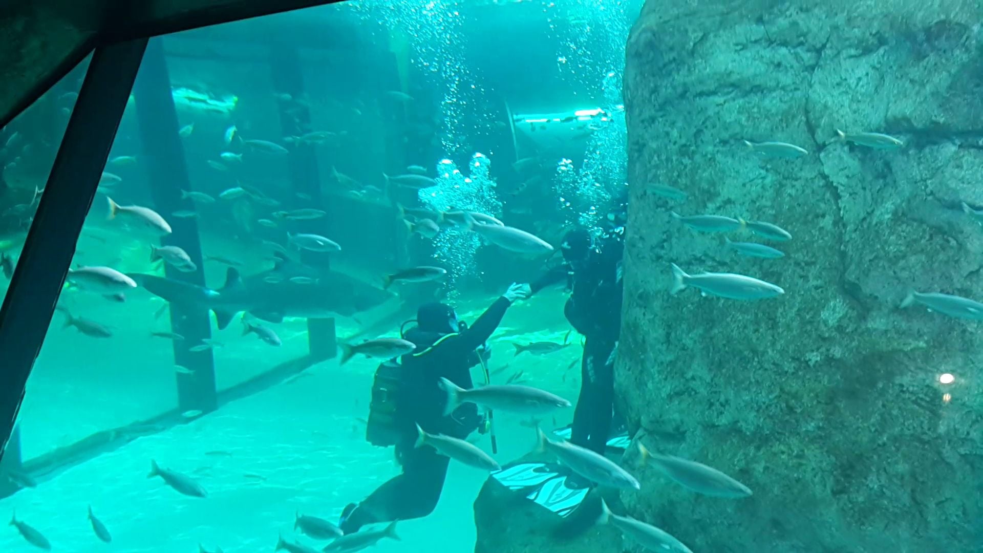  Two Oceans Aquarium