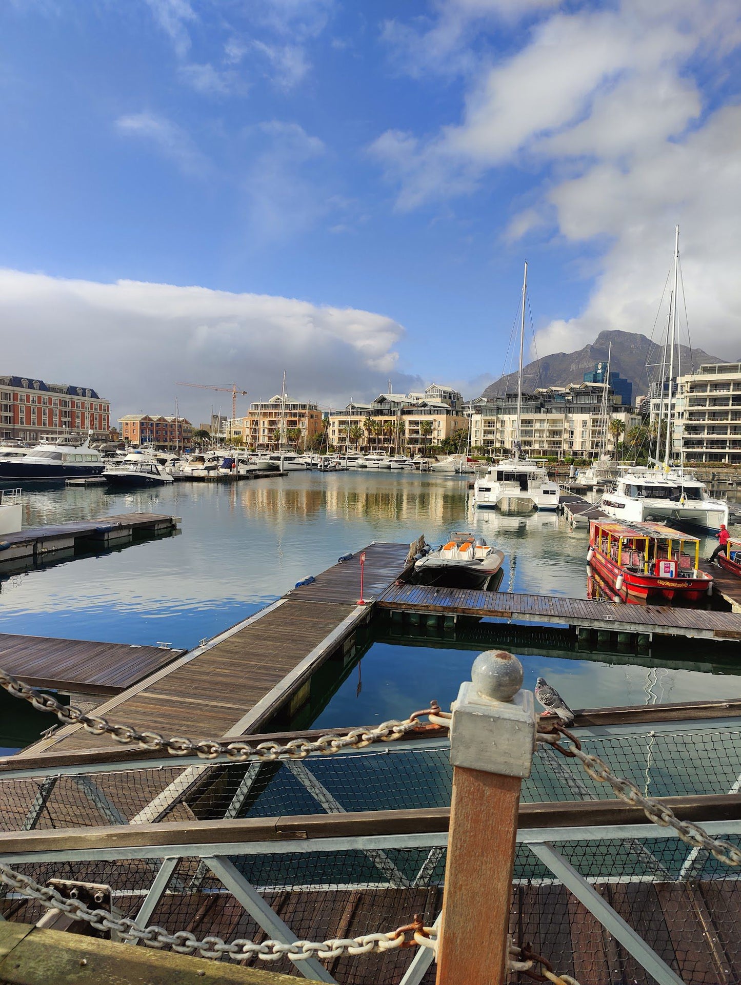  Two Oceans Aquarium