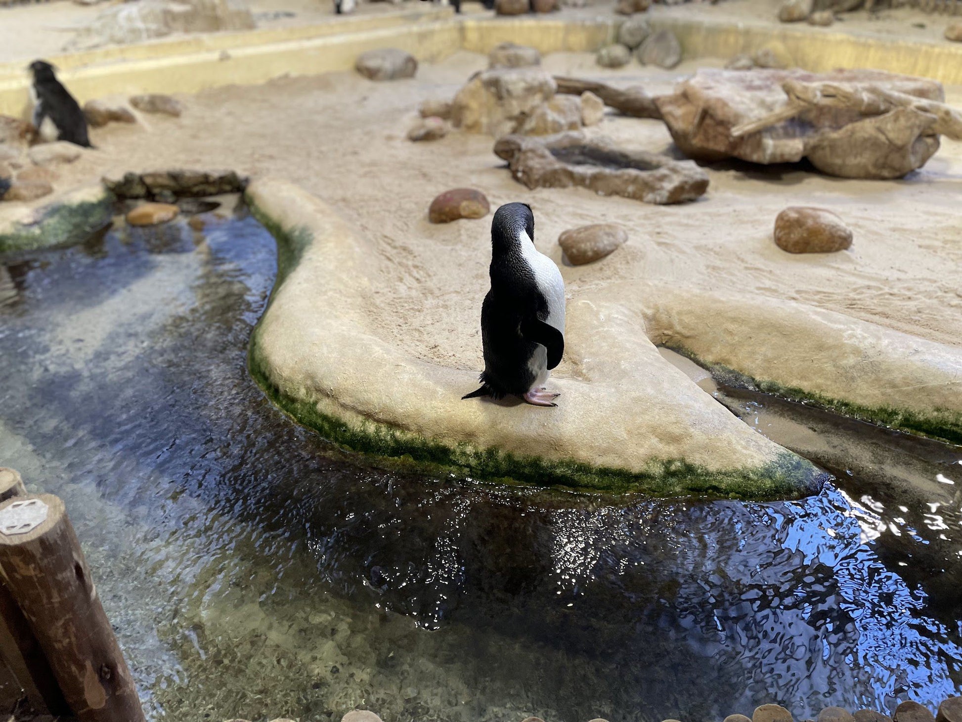  Two Oceans Aquarium