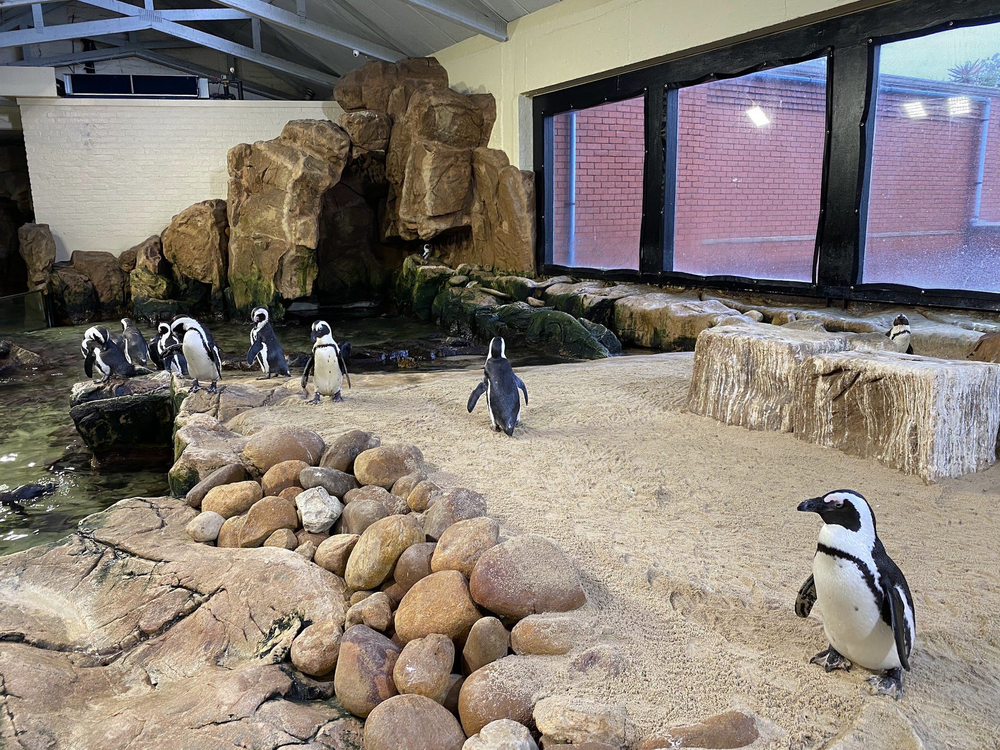  Two Oceans Aquarium