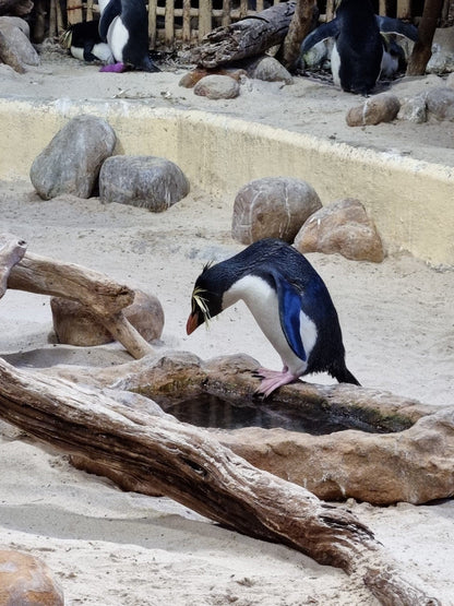  Two Oceans Aquarium