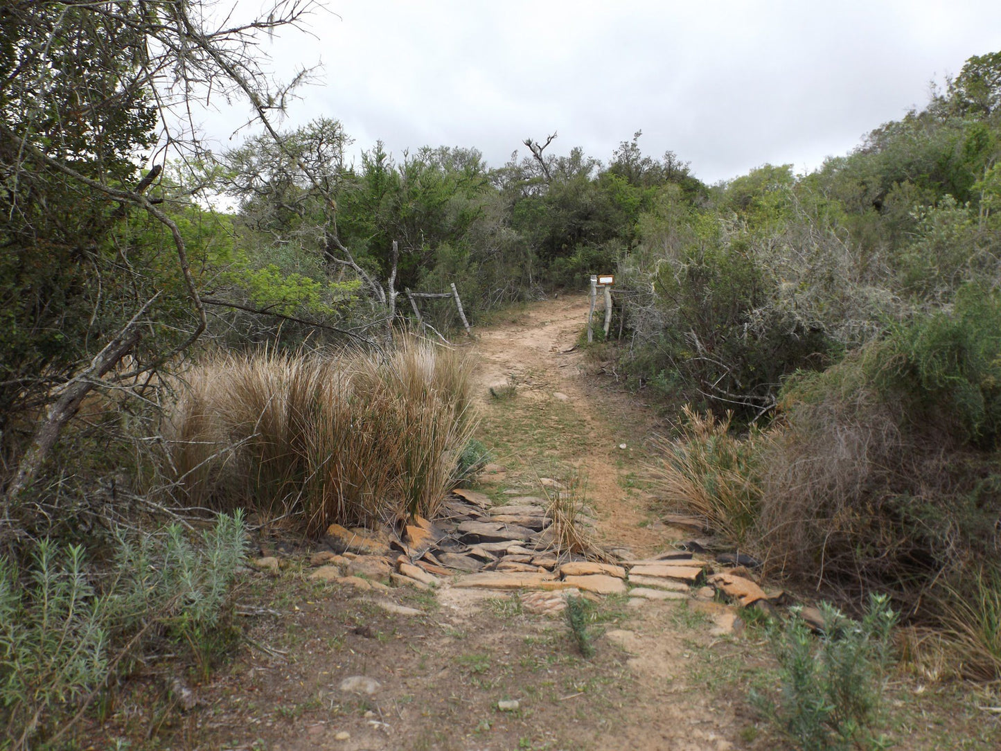  Two River Trail