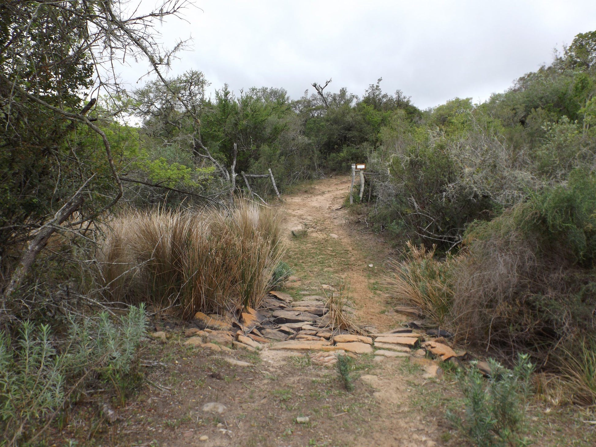  Two River Trail