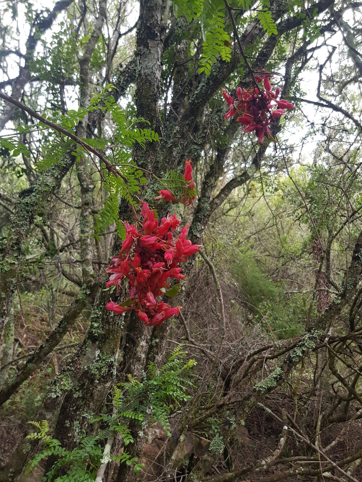  Two River Trail